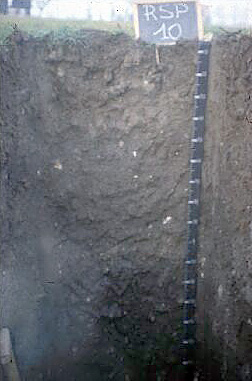 Immagine del profilo