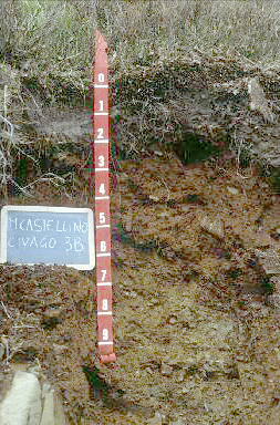 Immagine del profilo