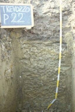 Immagine del profilo