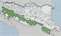 Distribuzione cartografica dell'unità cartografica 6