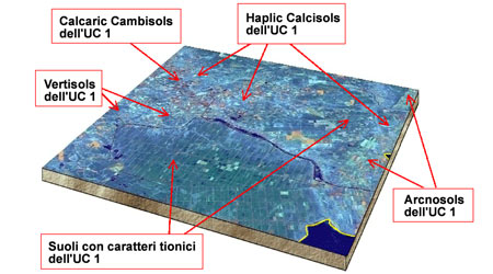 Immagine da satellite