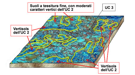 Immagine da satellite